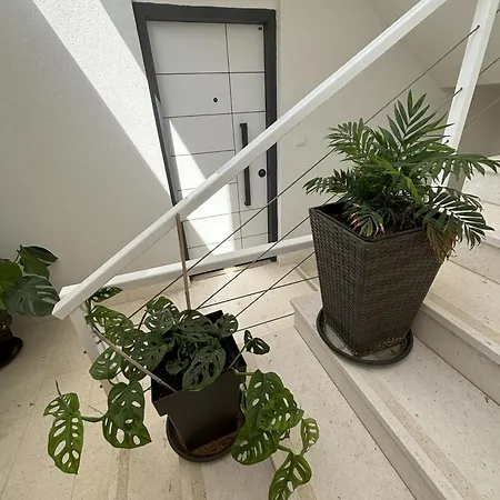 Regina Regina With Swimming Pool