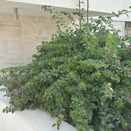 Regina Regina With Swimming Pool Apartamento